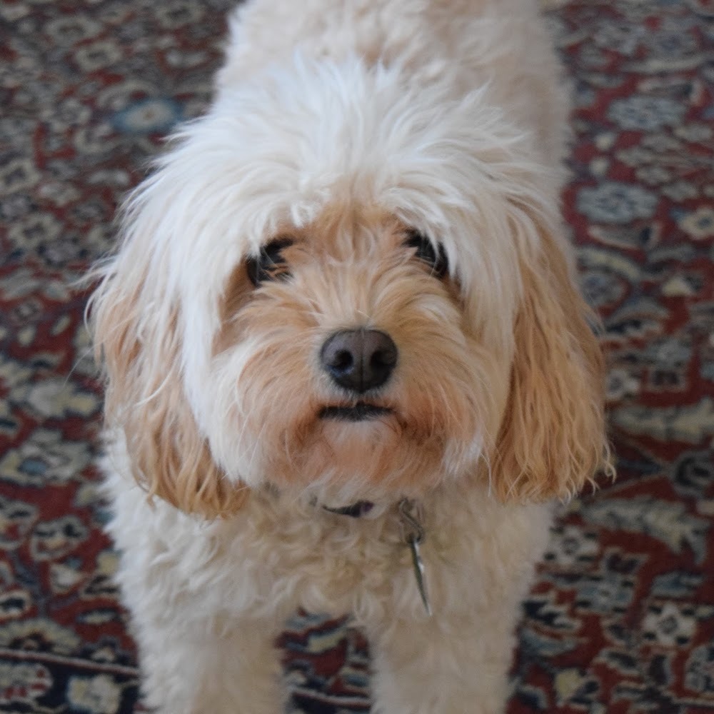 Meet your Posher, Jill